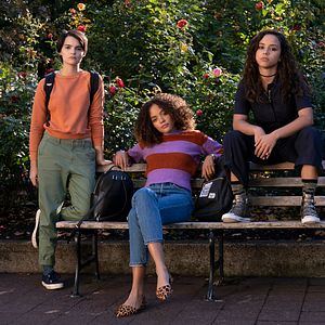 Bilder Diebische Elstern