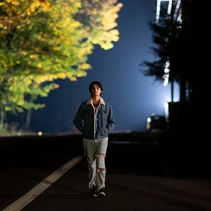 Bilder Diebische Elstern