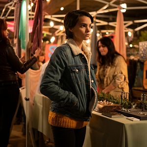 Bilder Diebische Elstern