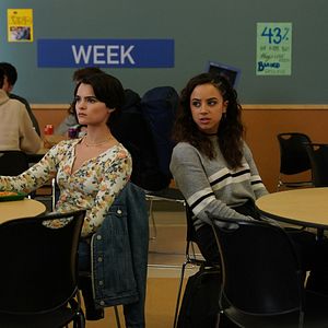 Bilder Diebische Elstern