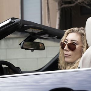 Bilder Animal Kingdom