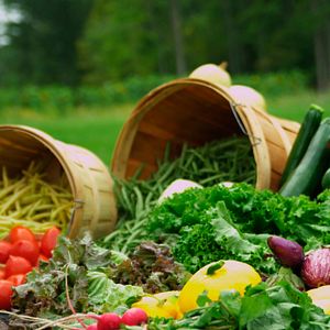 Bilder Eating You Alive