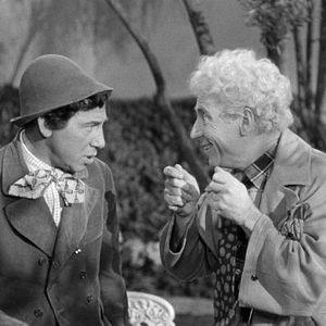 Bilder Die Marx Brothers: Eine Nacht in Casablanca