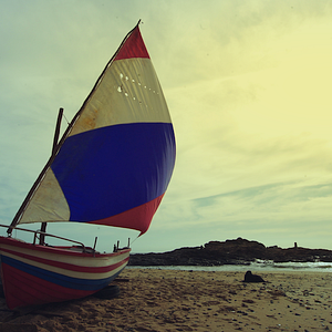 Bilder Dorival Caymmi - Um Homem de Afetos