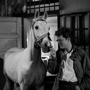 Bilder Asche und Diamant