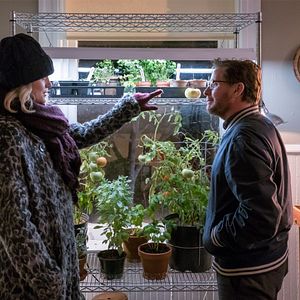 Bilder Taylor Schilling