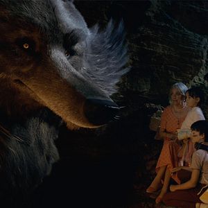 Bilder My Family and the Wolf