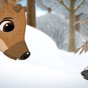 Bilder Geschichten vom See: Willy und die Wächter des Sees