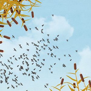 Bilder Geschichten vom See: Willy und die Wächter des Sees