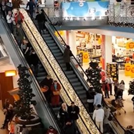 Bilder Family. Work. Shop.