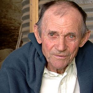 Bilder Artistes De La Vie