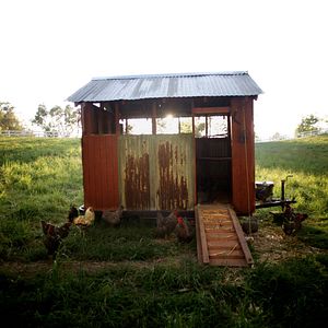 Bilder Unsere große kleine Farm