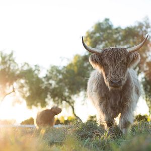 Bilder Unsere große kleine Farm