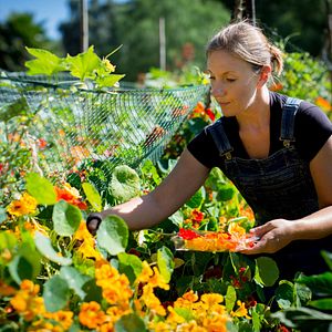 Bilder Unsere große kleine Farm