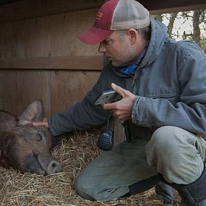 Bilder Unsere große kleine Farm