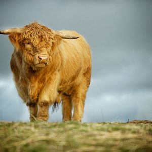 Bilder Unsere große kleine Farm