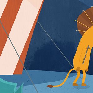 Bilder Zibilla ou la vie zébrée