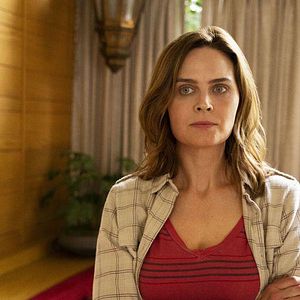 Bilder Animal Kingdom