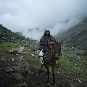 Bilder Thinking Like A Mountain