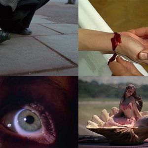 Bilder Ne croyez surtout pas que je hurle