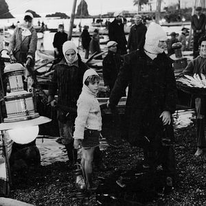 Bilder Die Erde bebt