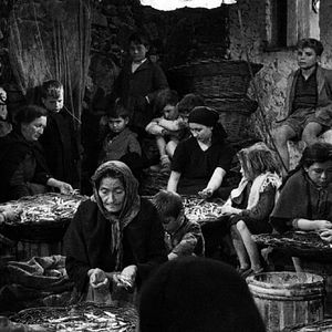 Bilder Die Erde bebt