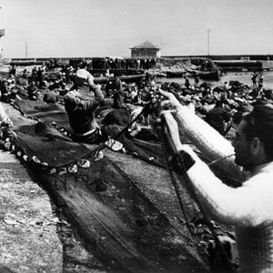 Bilder Die Erde bebt