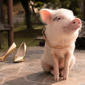 Bilder Eine ganz heiße Nummer 2.0