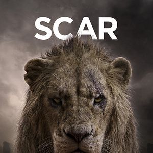 Bilder Der König der Löwen