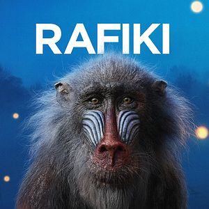 Bilder Der König der Löwen