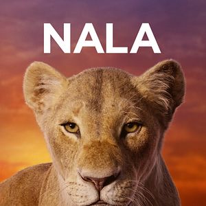 Bilder Der König der Löwen