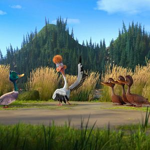 Bilder Mission Panda - Ein tierisches Team