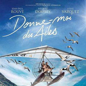 Bilder Der Junge und die Wildgänse