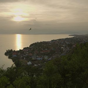 Bilder Congo Calling