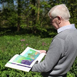 Bilder David Hockney - Time Reclaimed