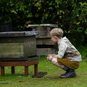 Bilder Der Honiggarten - Das Geheimnis der Bienen