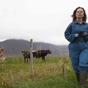 Bilder Milchkrieg in Dalsmynni