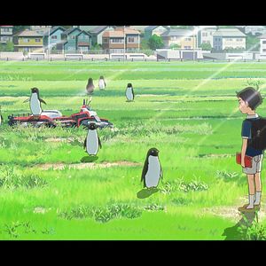 Bilder Penguin Highway