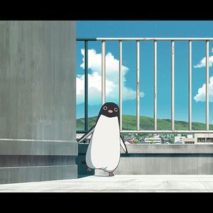 Bilder Penguin Highway