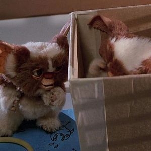 Bilder Gremlins - Kleine Monster