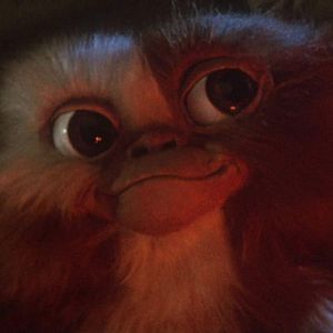 Bilder Gremlins - Kleine Monster