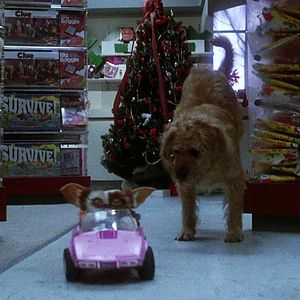 Bilder Gremlins - Kleine Monster