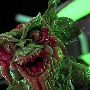Bilder Gremlins 2 - Die Rückkehr der kleinen Monster