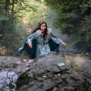 Bilder Halvdan, der Wikinger