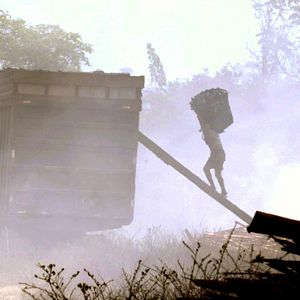 Bilder Vidas Descartáveis