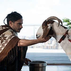 Bilder Mozart In The Jungle