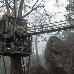 Bilder Bailey Gavulic