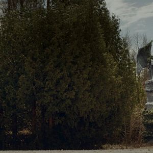 Bilder Todesengel - The Hexecutioners