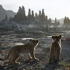 Bilder Der König der Löwen