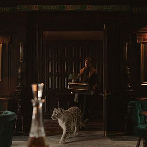 Bilder His Dark Materials